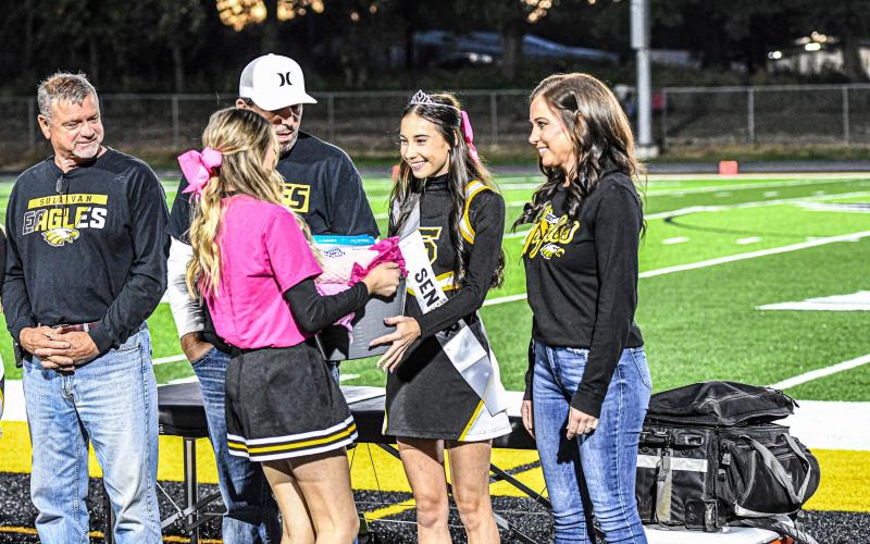 CHEER SENIOR NIGHT. Article Image Alt Text