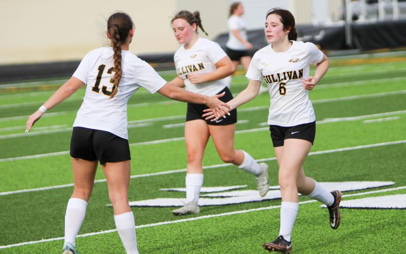 GIMME FIVE. Ella Kirk (13) is pictured high-fiving Andi Giebler (6) as she heads towards the sideline. Photo by Wyatt Hardy Article Image Alt Text