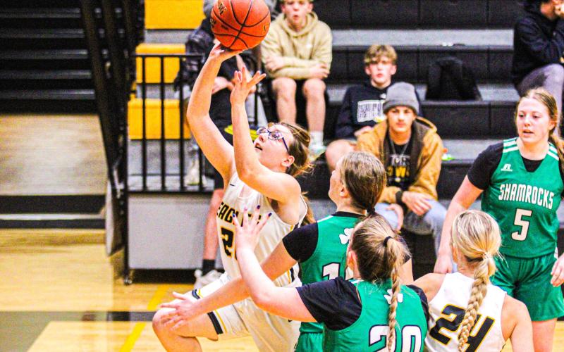 EVELYNN HARRIS (20) drives down the key to lay it into the basket against the Lady Shamrocks. Photo by Wyatt Hardy. Article Image Alt Text
