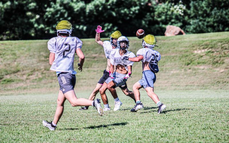 Photo by Wyatt Hardy Article Image Alt Text
