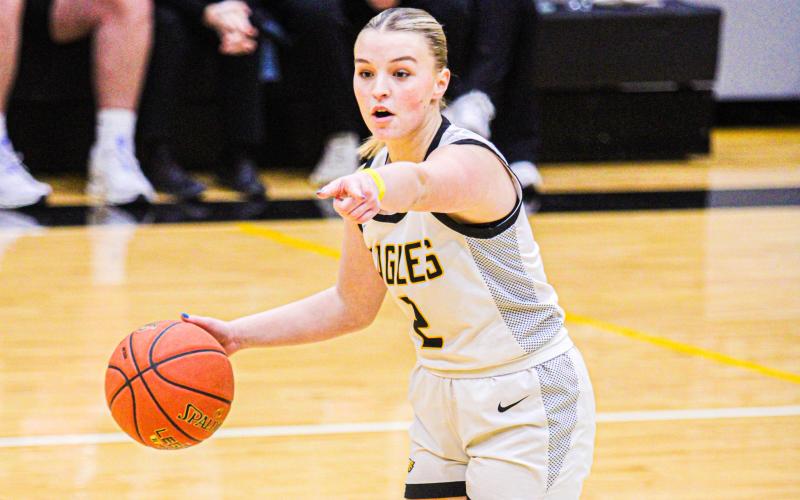 MOLLY LOHDEN (2) was selected to the 44th Annual Lady Wildcat All-Tournament team in Union on Saturday, Jan. 20. She led the Lady Eagles to beat St. Clair at the end of their three game stretch and snap thoer seven game losing skid. Photo by Wyatt Hardy. Article Image Alt Text