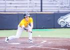 SWING LOW. Gavin Schmidt attempts to bunt a low ball during a scrimmage. Photo by Wyatt Hardy Article Image Alt Text